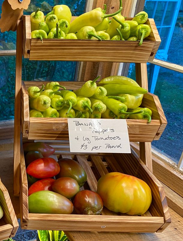 Hungarian Wax Peppers $3 per pound