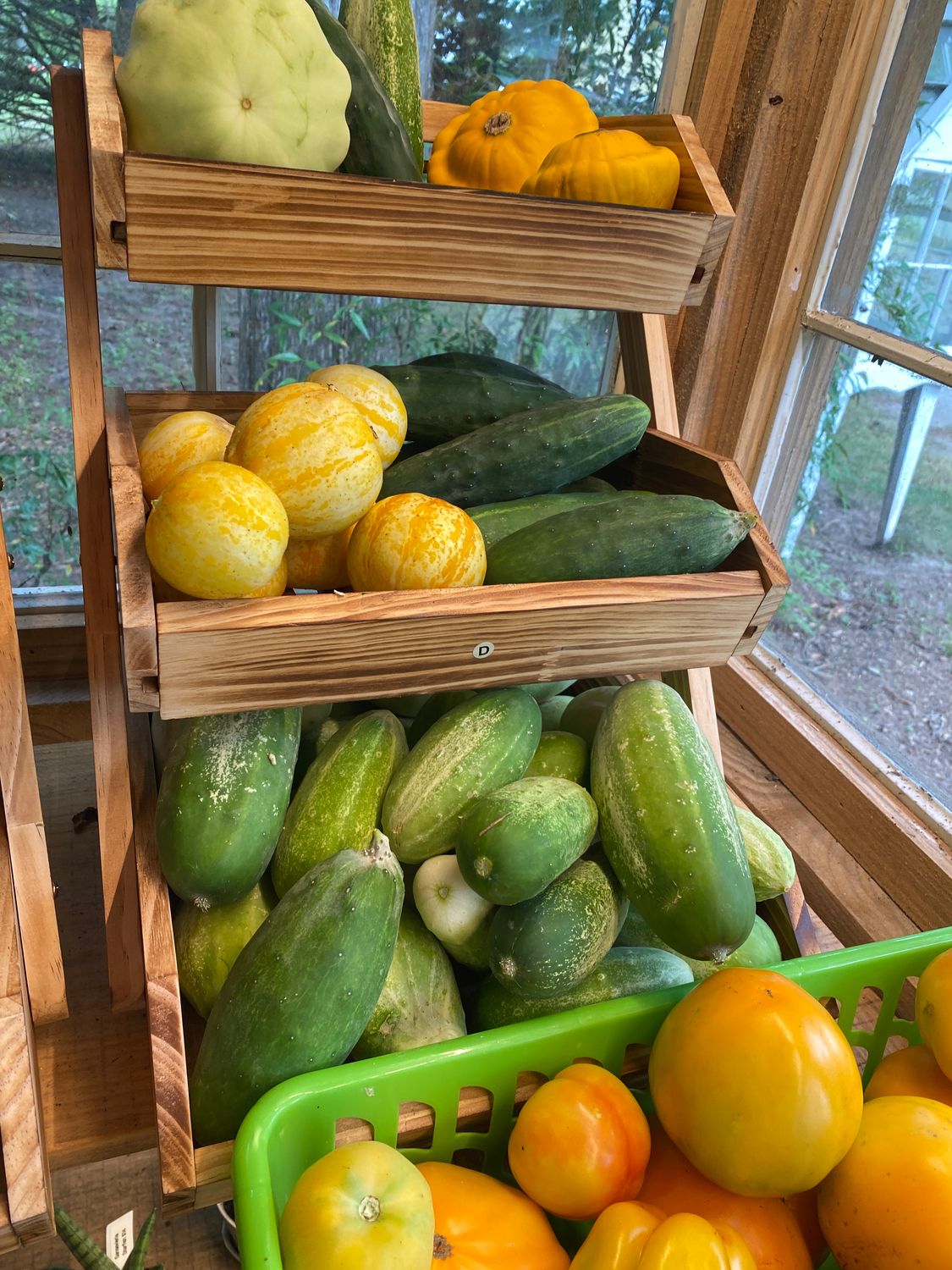 Cucumbers - Fresh Organic Heirloom 2/$1