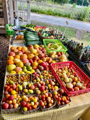 Fresh Produce