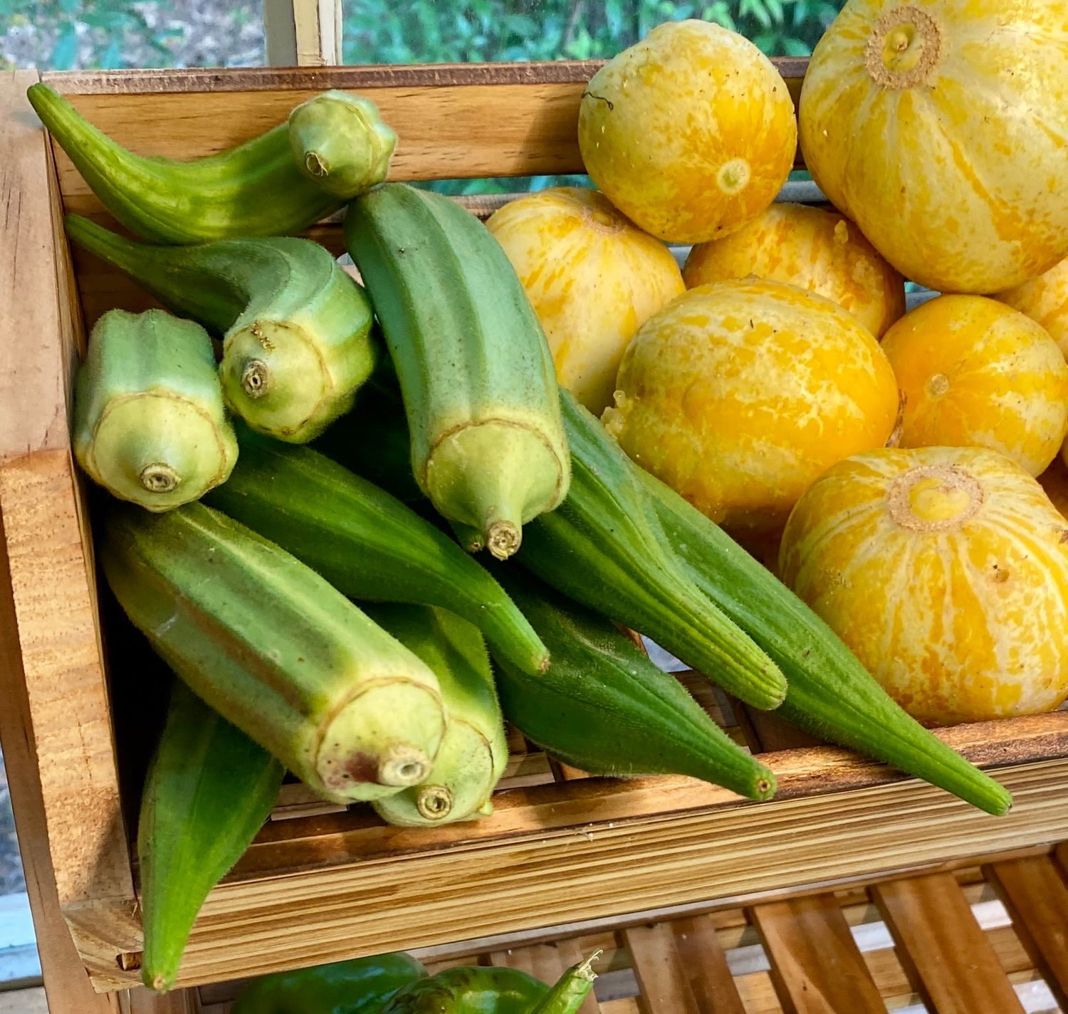 Okra Fresh Organic Heirloom $3 per poun