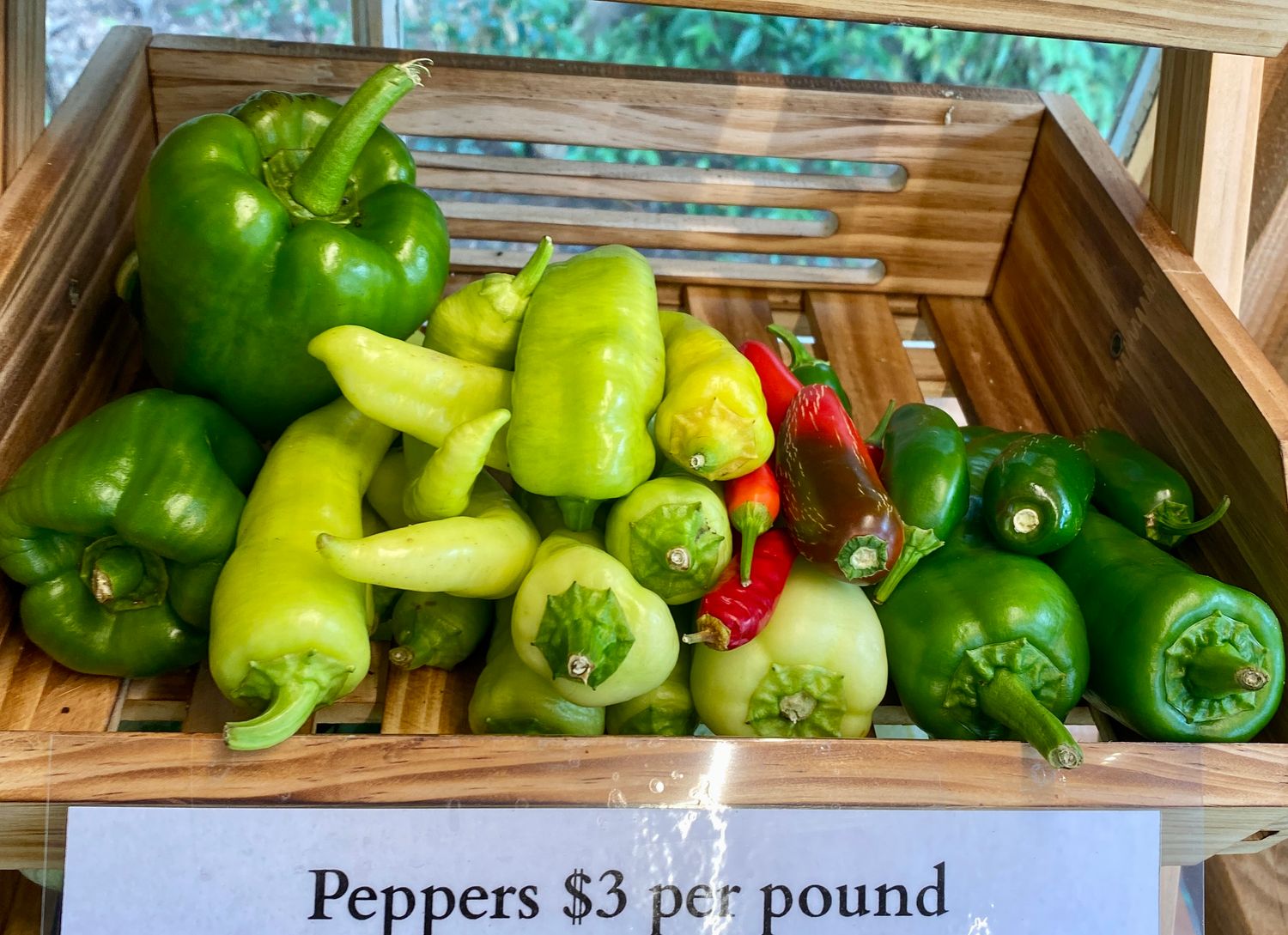 Peppers Assorted Varieties $3 per pound