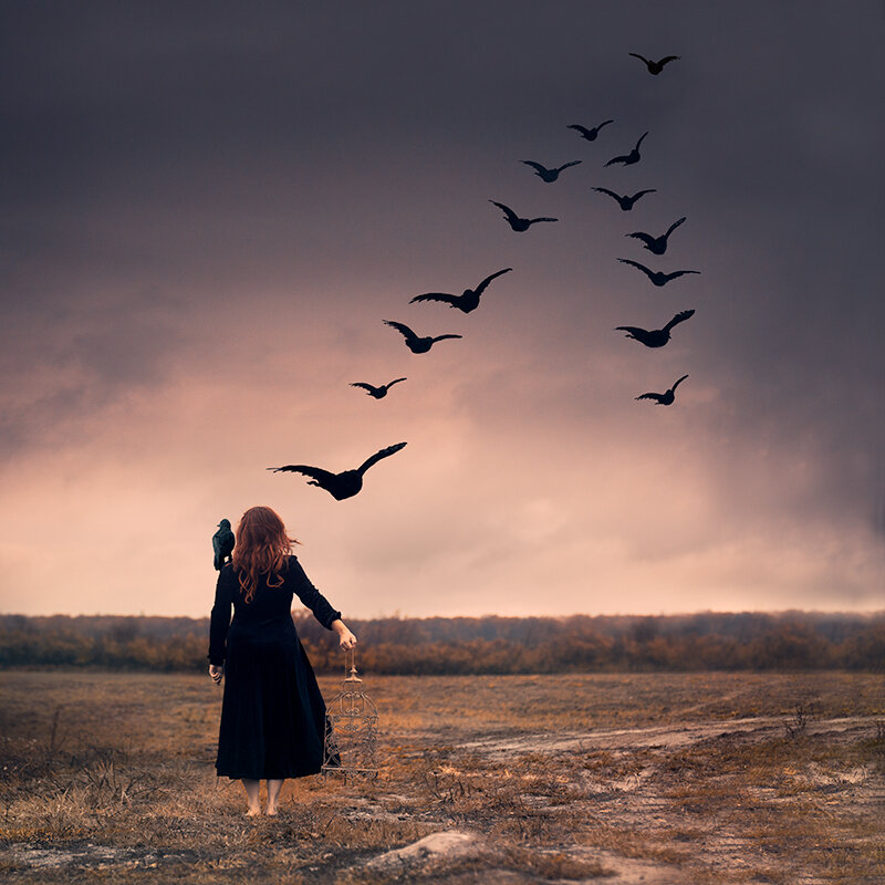 Flocking Freedom