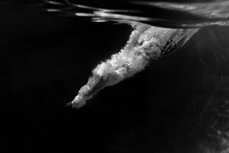 The Plunge