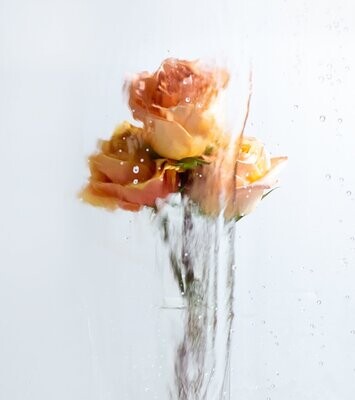 A Rose By Any Other Name No 7