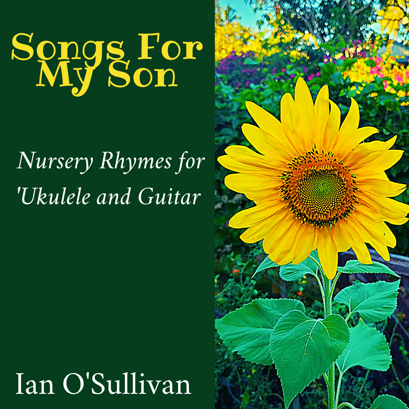 Songs For My Son - Ian O'Sullivan - (DIGITAL DOWNLOAD)