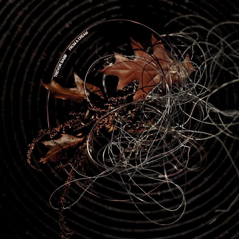 Trevor Babb - From A Dream