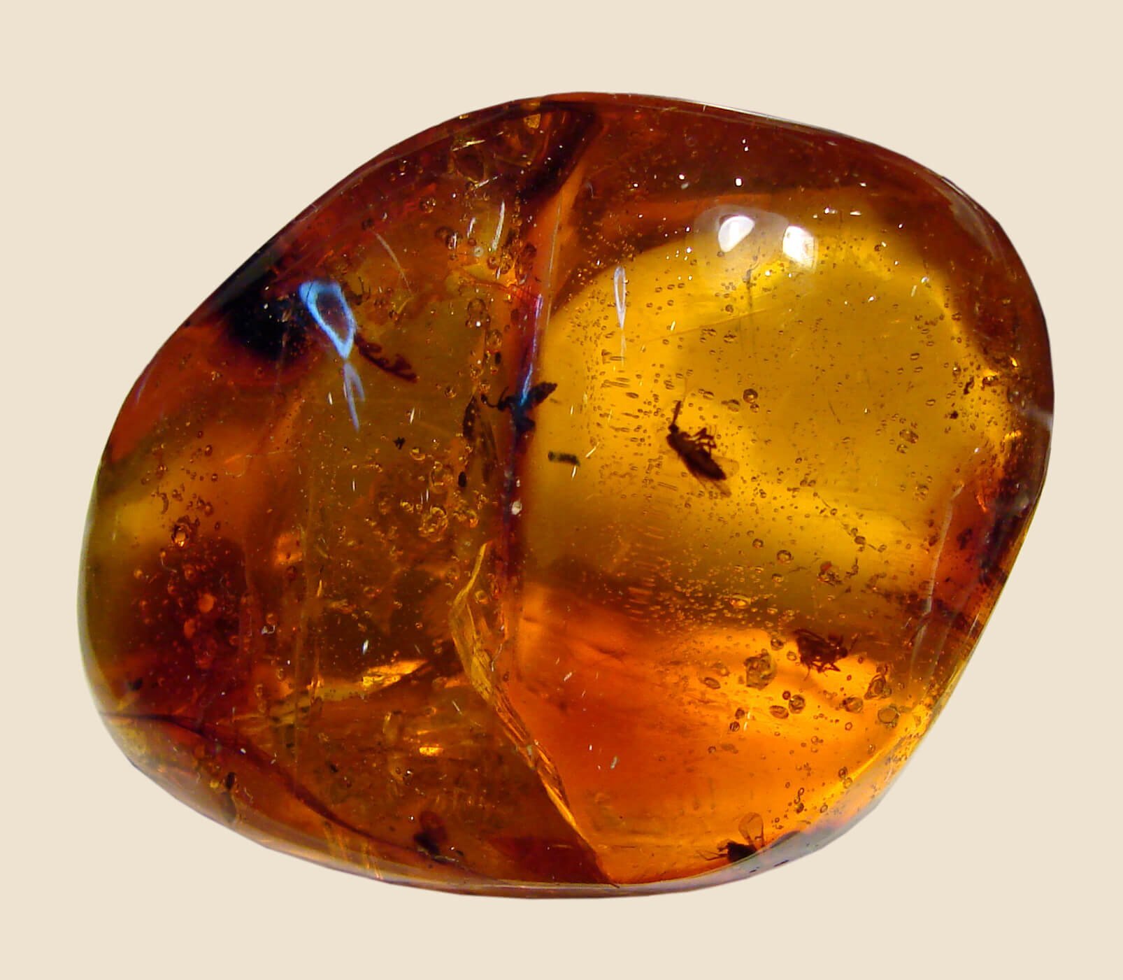 COLLIER BEBE SECURITE AMBRE DE LA BALTIQUE PERLES COGNAC 31/32 CM