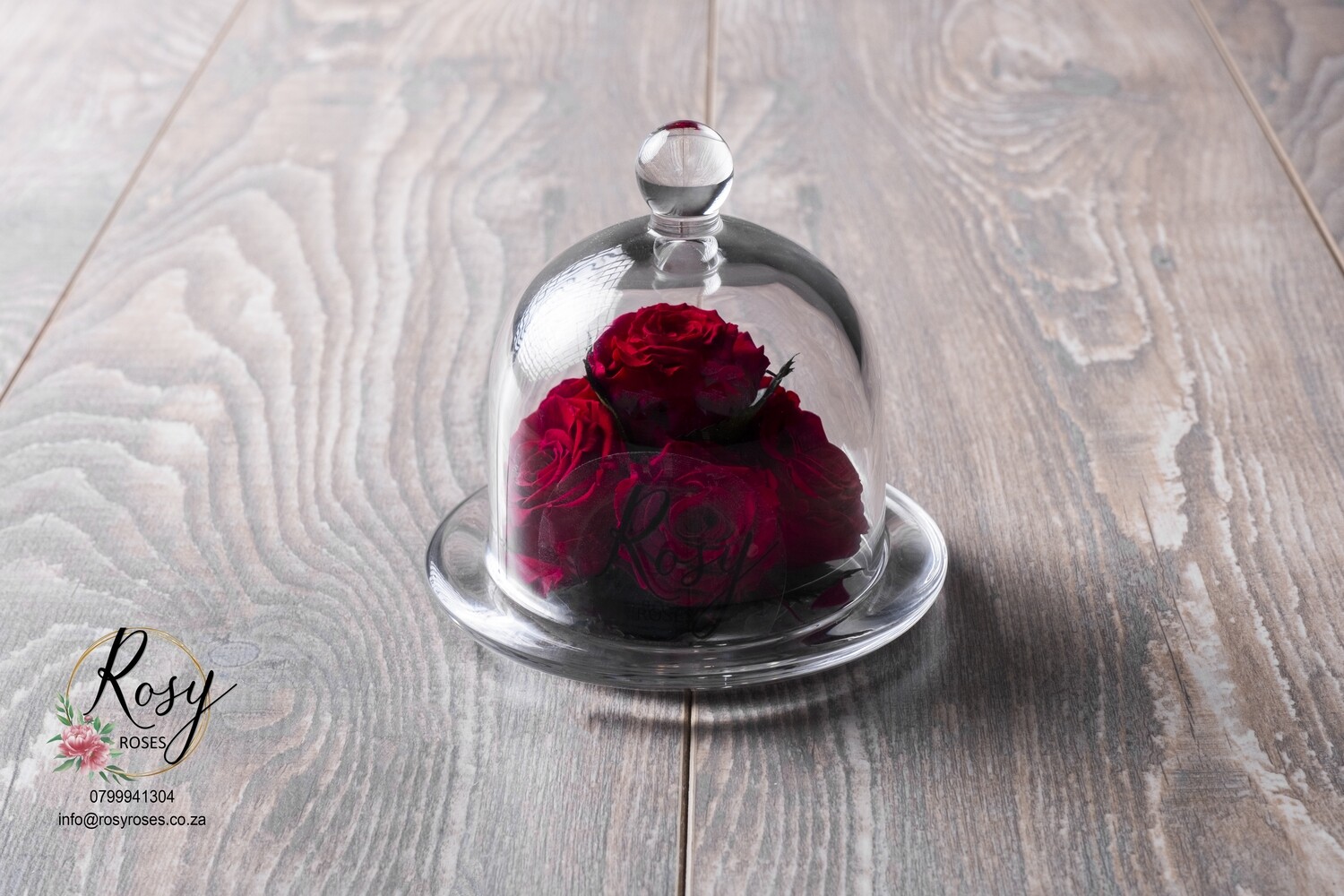 Mini beauty and the beast dome