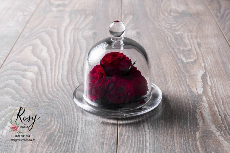 Mini beauty and the beast dome