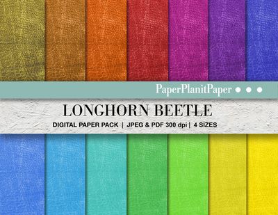 Longhorn Beetle