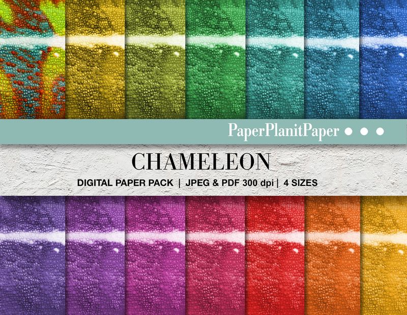 Chameleon Papers