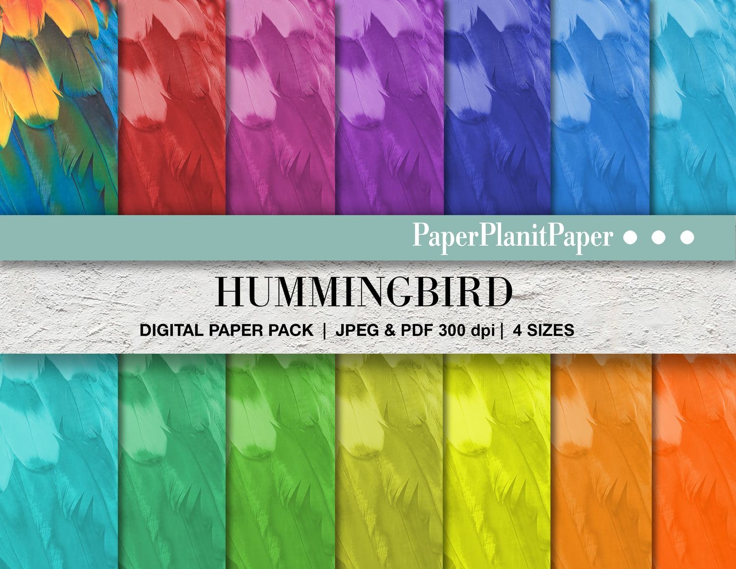 Hummingbird Papers