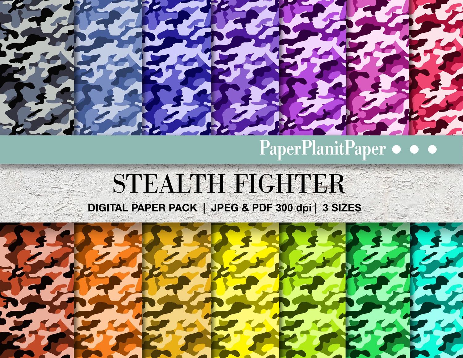 Stealth Fighter