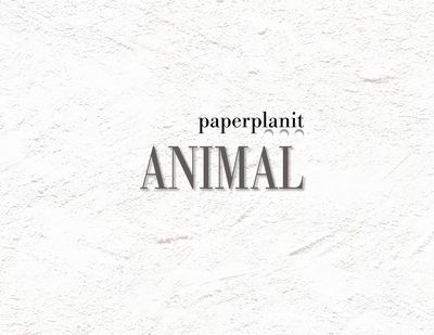 Animal Prints
