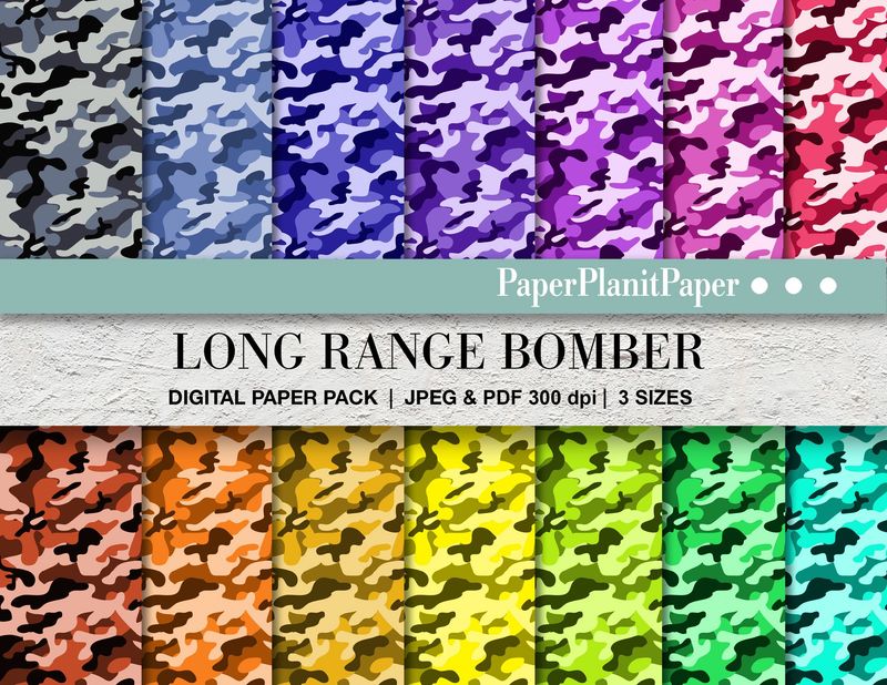 Long Range Bomber