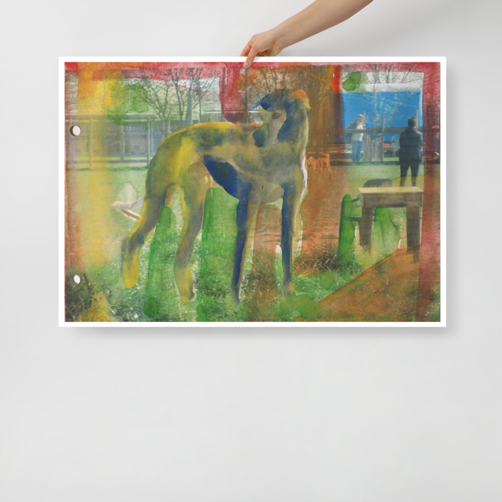 Poster Hund im Park