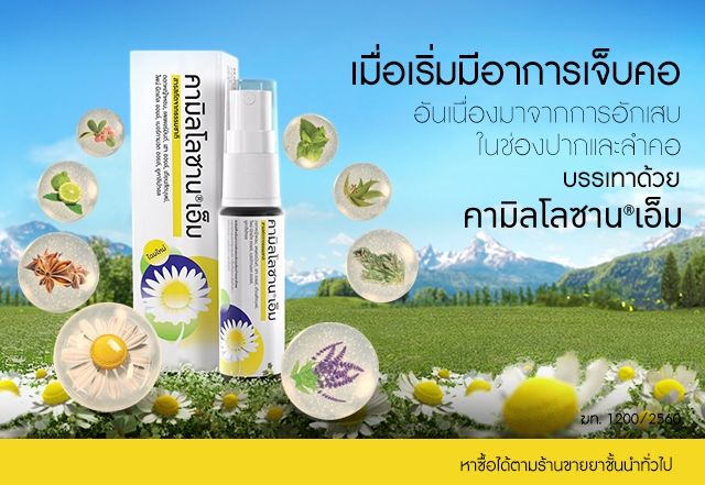 คามิโลซาน เอ็ม