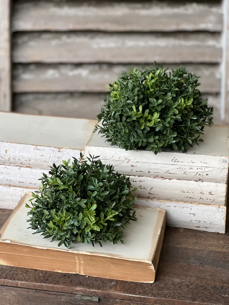 7&quot; NE Boxwood Sphere