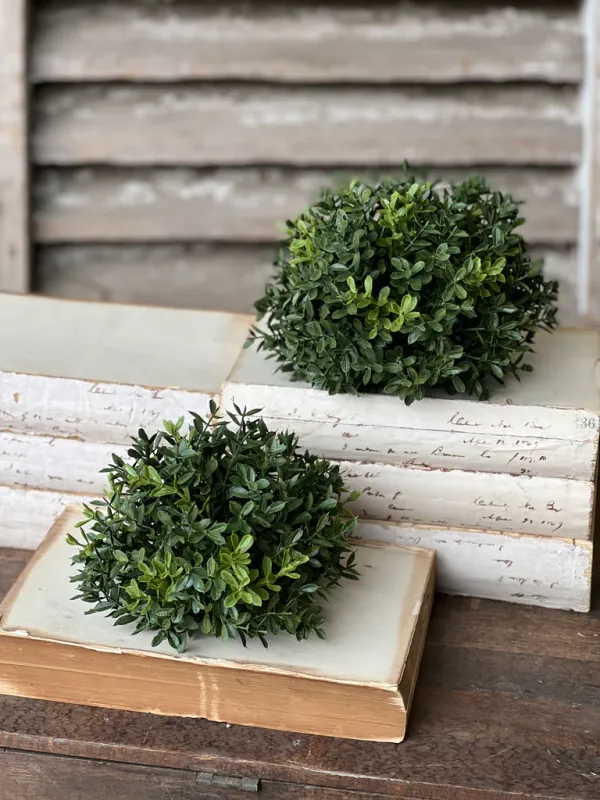 7&quot; NE Boxwood Sphere