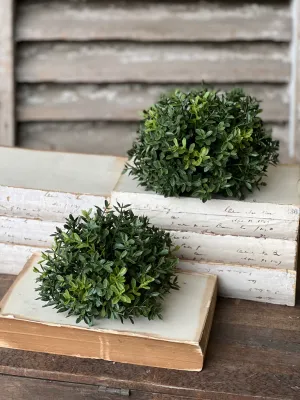 7&quot; NE Boxwood Sphere