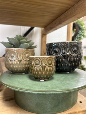 Owl Containers