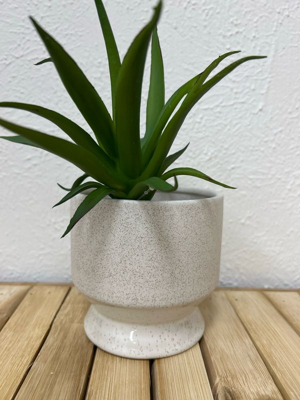 Pasadena Pot-White