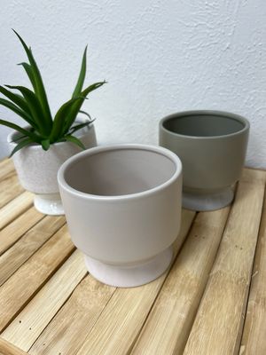 Pasadena Pot-Tan