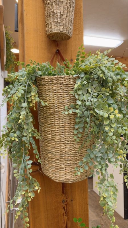 30" Cherub Vine Hanging