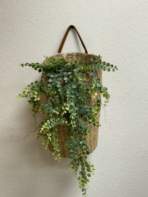 30" Cherub Vine Hanging