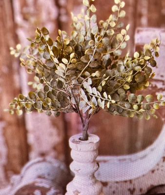 13.5" Cherub Vine Bush