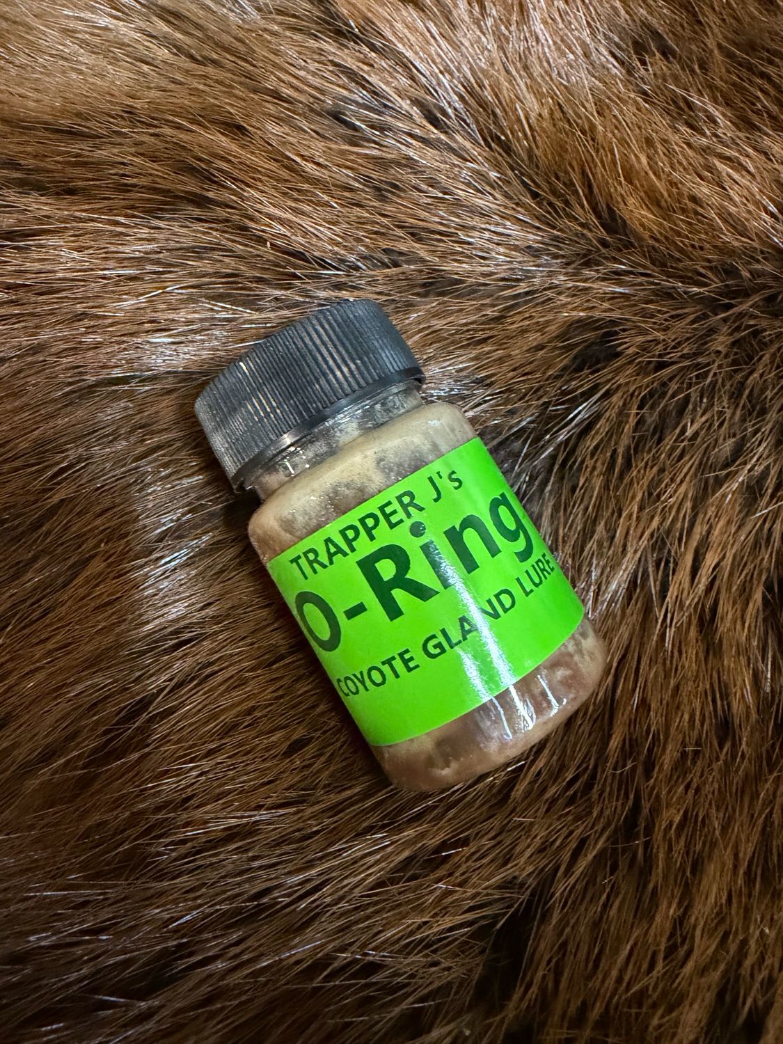 O -ring Coyote Gland Lure