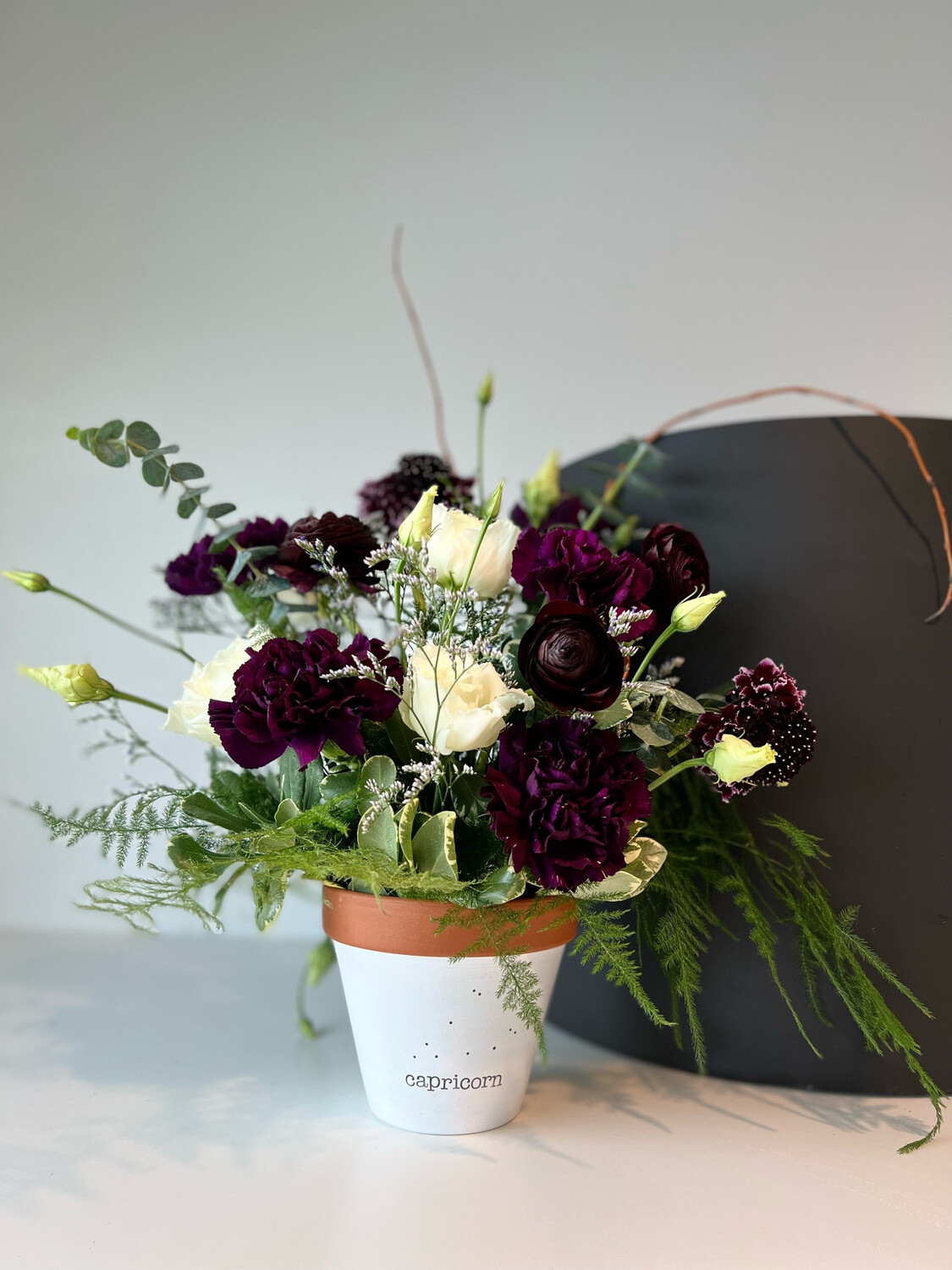 THE CAPRICORN THE CAPRICORN