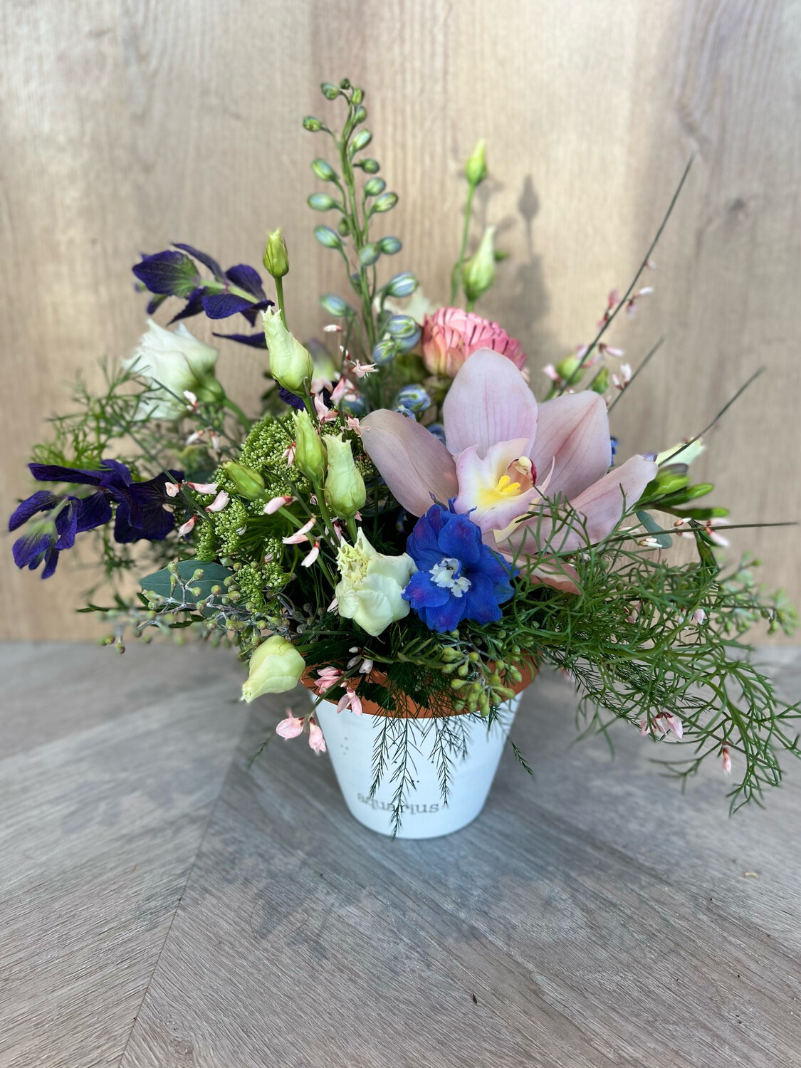 THE AQUARIUS THE AQUARIUS