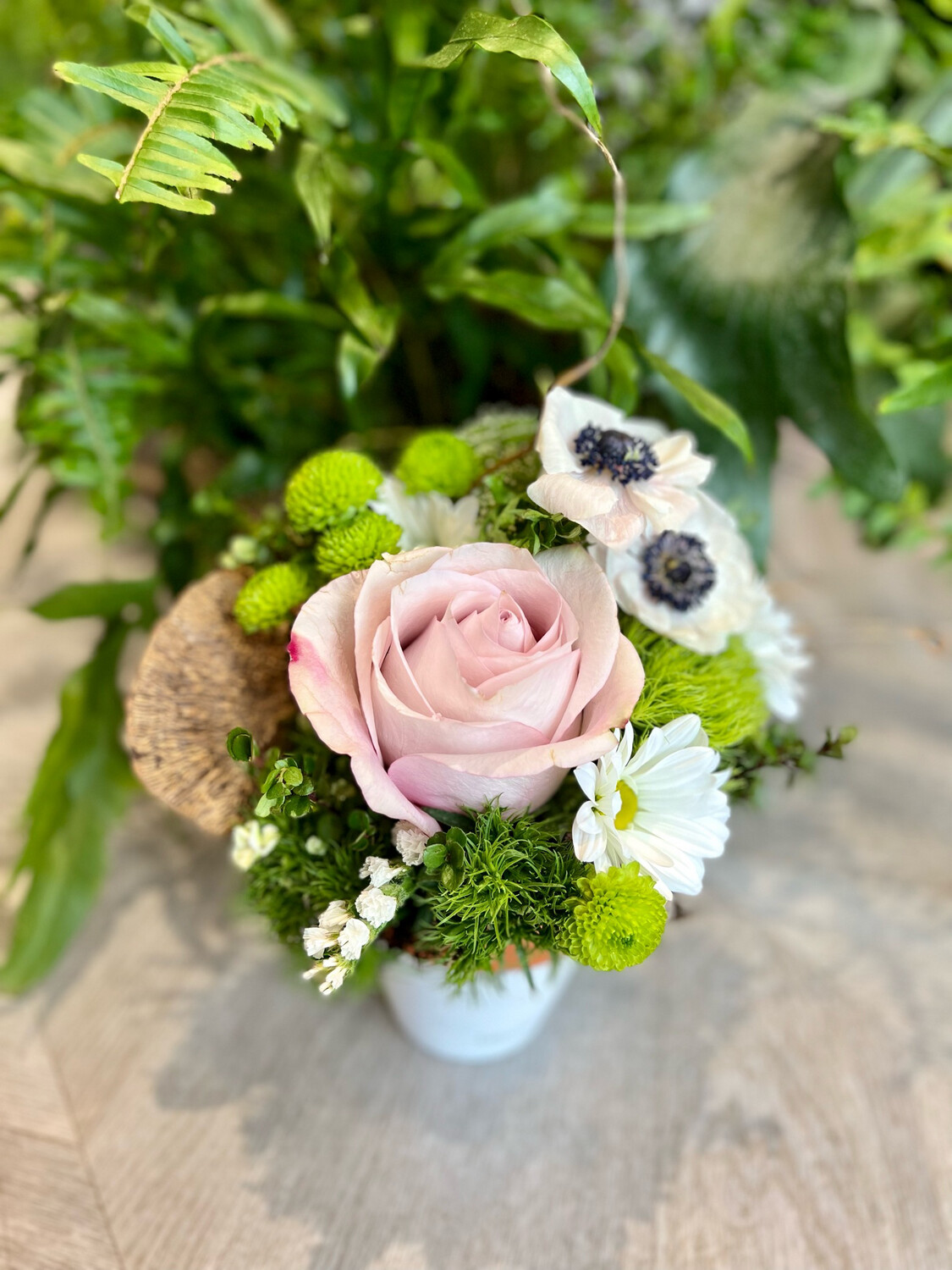 THE TAURUS THE TAURUS