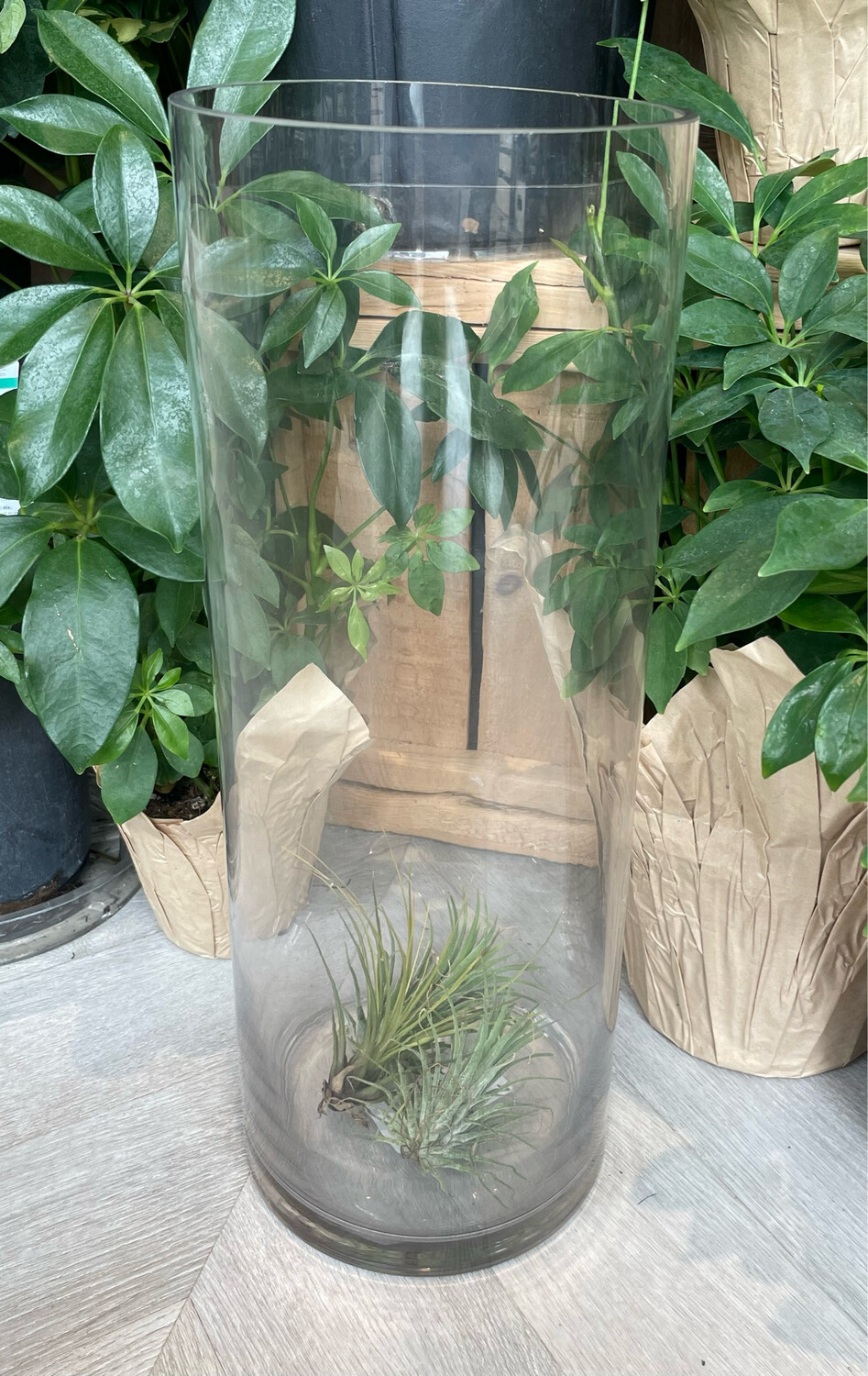 CYLINDER GLASS VASE 16"