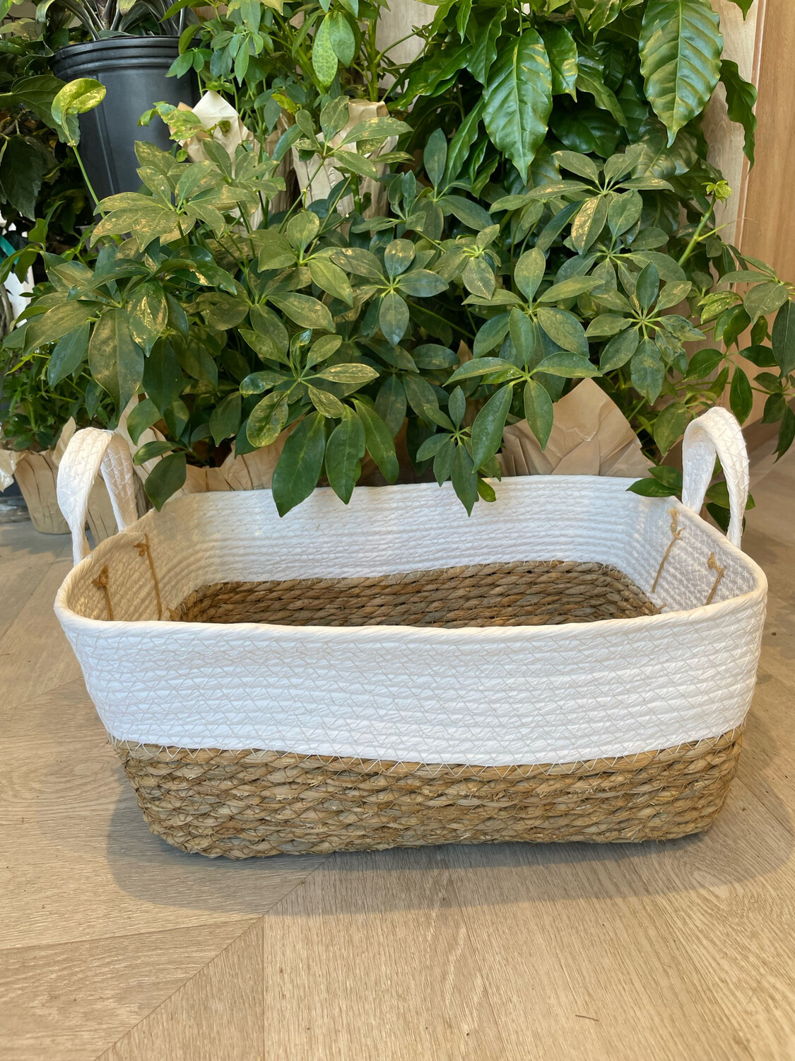 RECTANGULAR STRAW BASKET 15" L