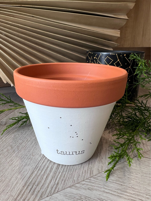 ZODIAC PLANTER TAURUS 4"