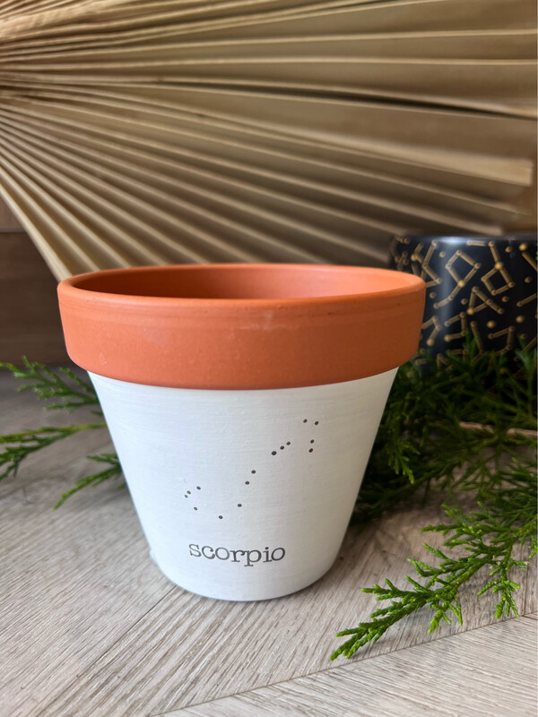 ZODIAC PLANTER SCORPIO 4"