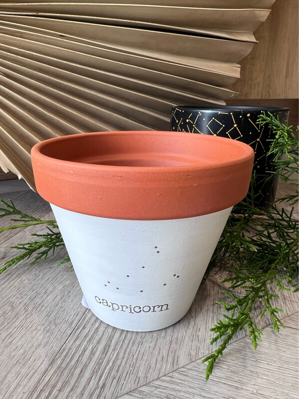 ZODIAC PLANTER CAPRICORN 4