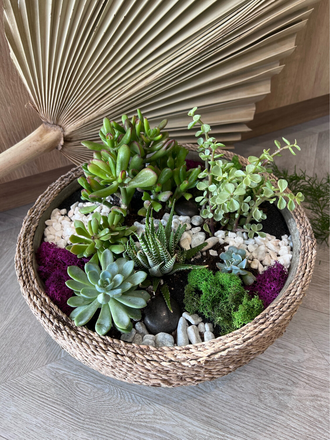 DESIGNER’S CHOICE SUCCULENT GARDEN BOUJEE DESIGNER’S CHOICE SUCCULENT GARDEN BOUJEE