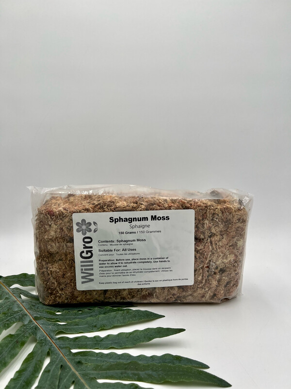 SPHAGNUM MOSS 150g