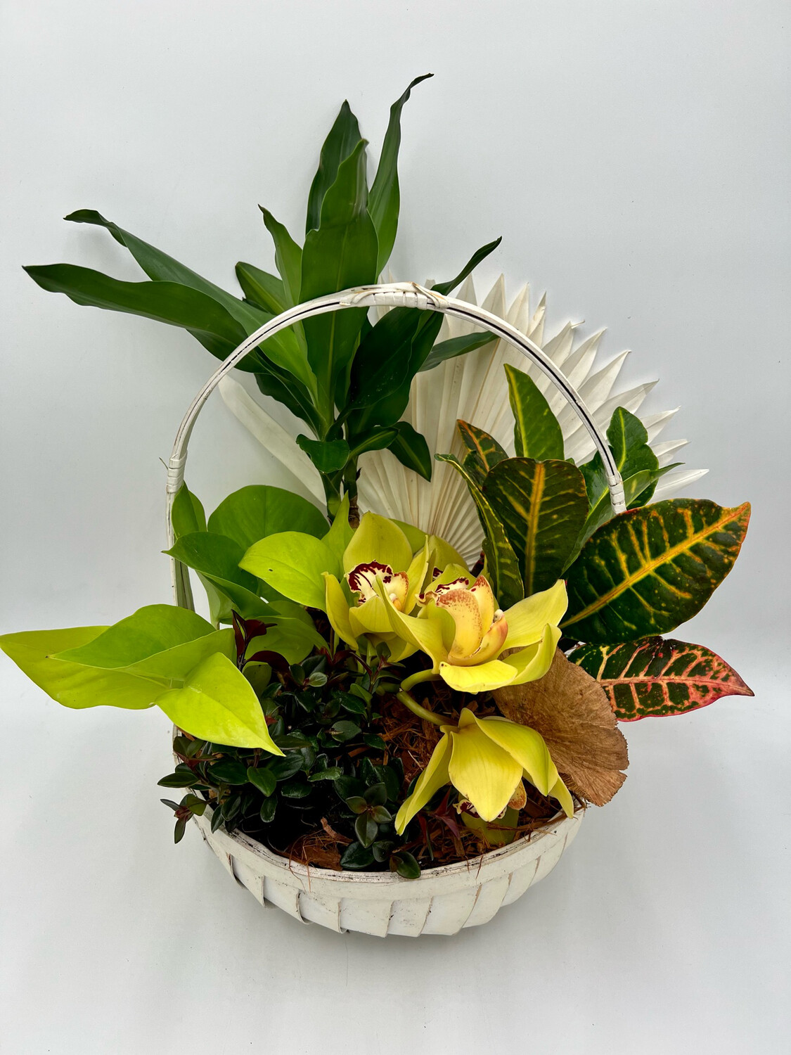 YOUR BIGGEST FAN YOUR BIGGEST FAN