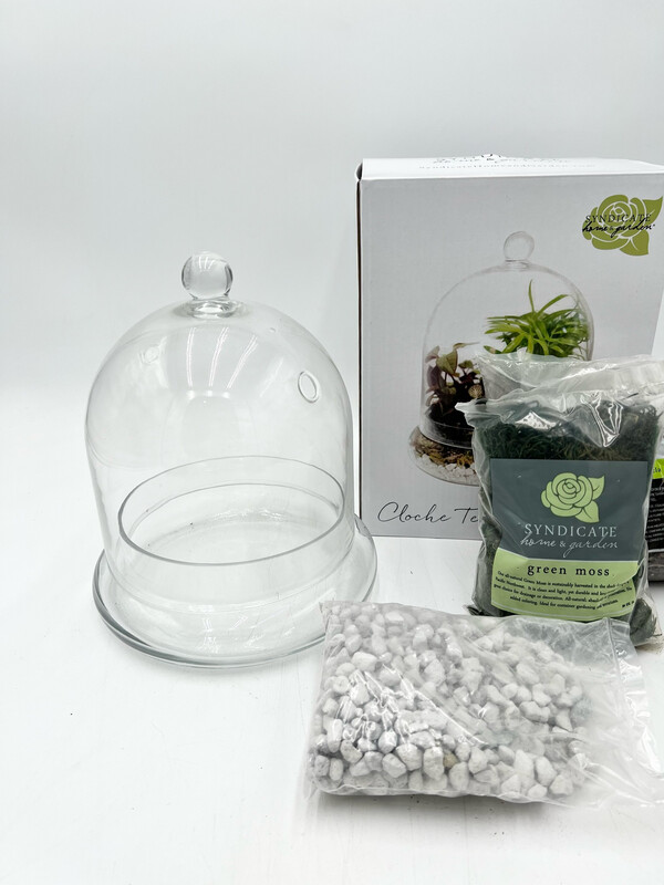 DIY TERRARIUM KIT (MEDIUM GLASS CLOCHE 8.25"H)
