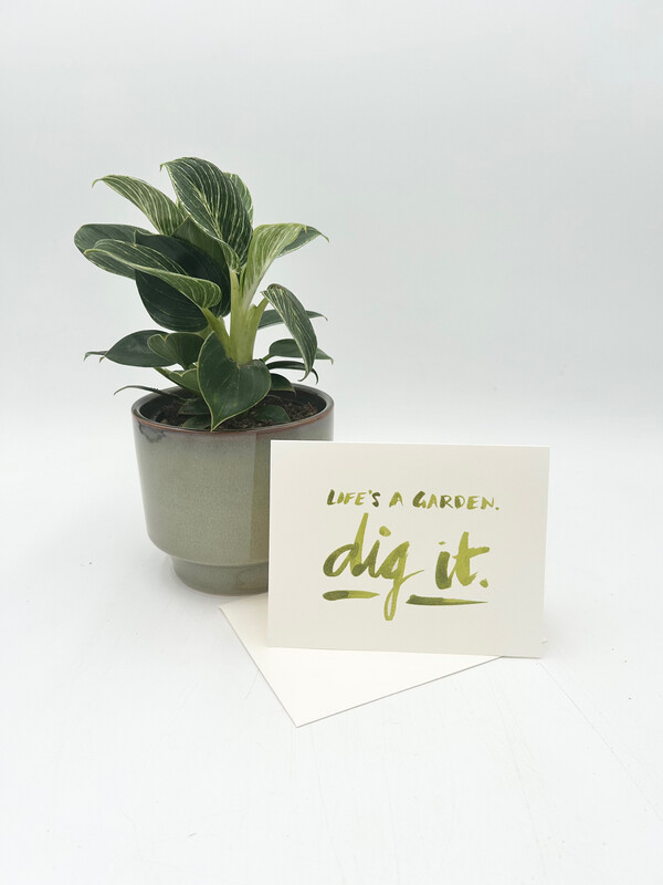 DIG IT ENCOURAGEMENT GREETING CARD