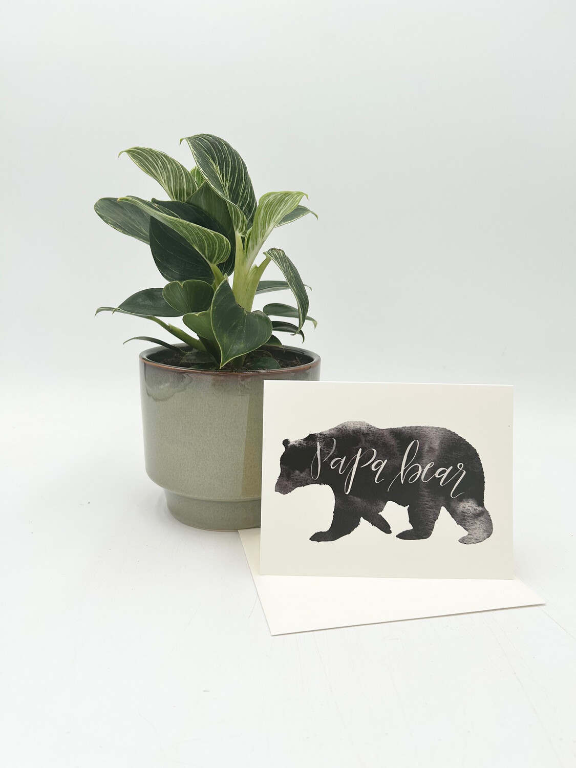 PAPA BEAR FATHER'S DAY GREETING CARD