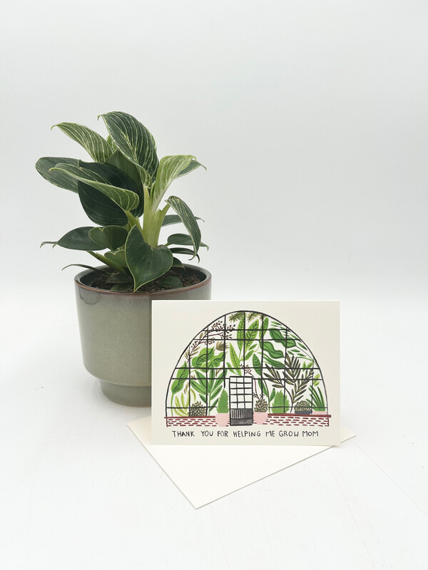 MOTHER'S DAY GREENHOUSE MOTHERS DAY GREETING CARD