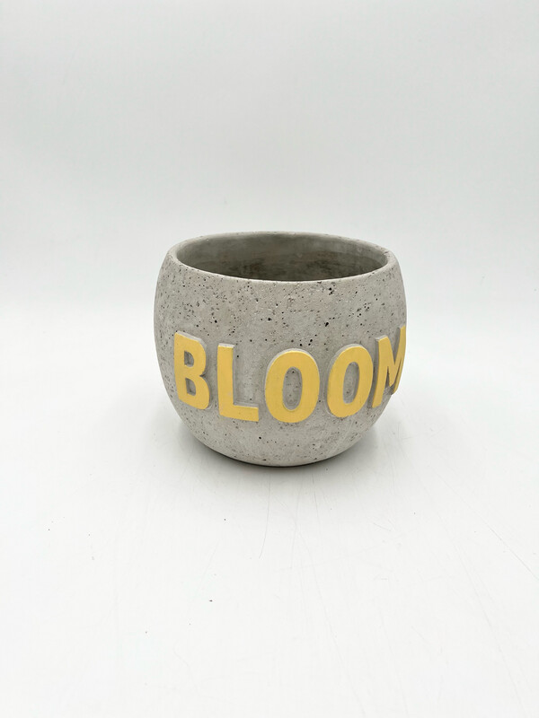 BLOOM PLANTER 6"