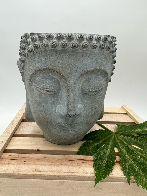 DHARMA BUDDHA HEAD PLANTER 8" H