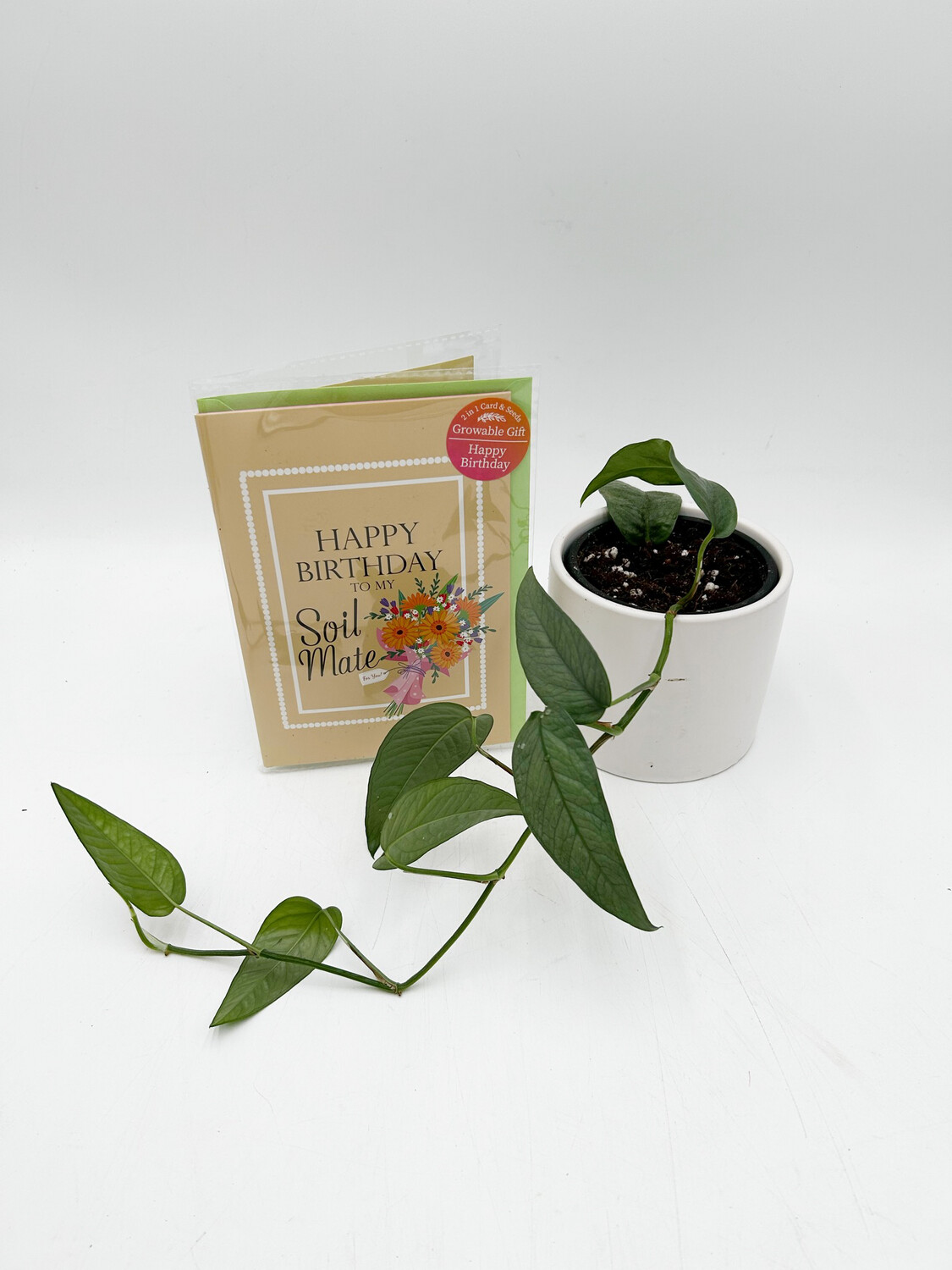 HAPPY BIRTHDAY SOIL MATE GROWABLE GREETING CARD WITH BUTTERFLY GARDEN SEEDS