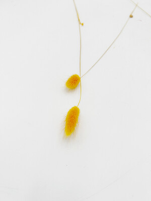 BUNNY TAIL YELLOW  (SINGLE STEM)